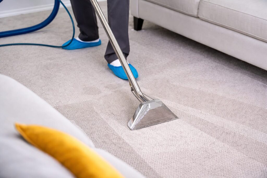 Professional carpet cleaning in London using deep steam hot water extraction